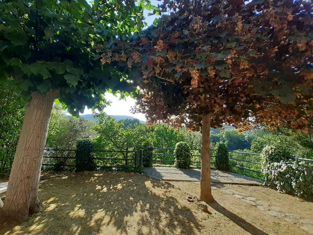 Villa Le Palmine Palazzone エクステリア 写真