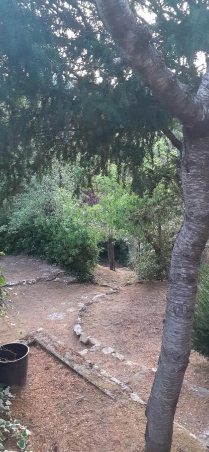 Villa Le Palmine Palazzone エクステリア 写真