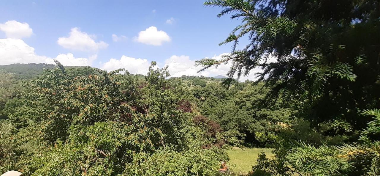 Villa Le Palmine Palazzone エクステリア 写真
