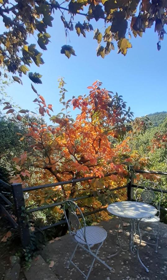 Villa Le Palmine Palazzone エクステリア 写真